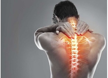 Back Pain Relief | How to Live Pain Free