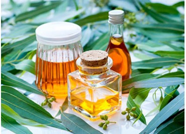Replace Your Medicine Cabinet | Eucalyptus Oil Based Remedies